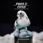 Pros and Cons of Owning Parakeets as Pets