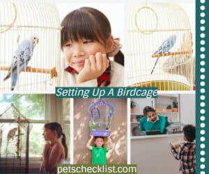 Setting Up A Birdcage